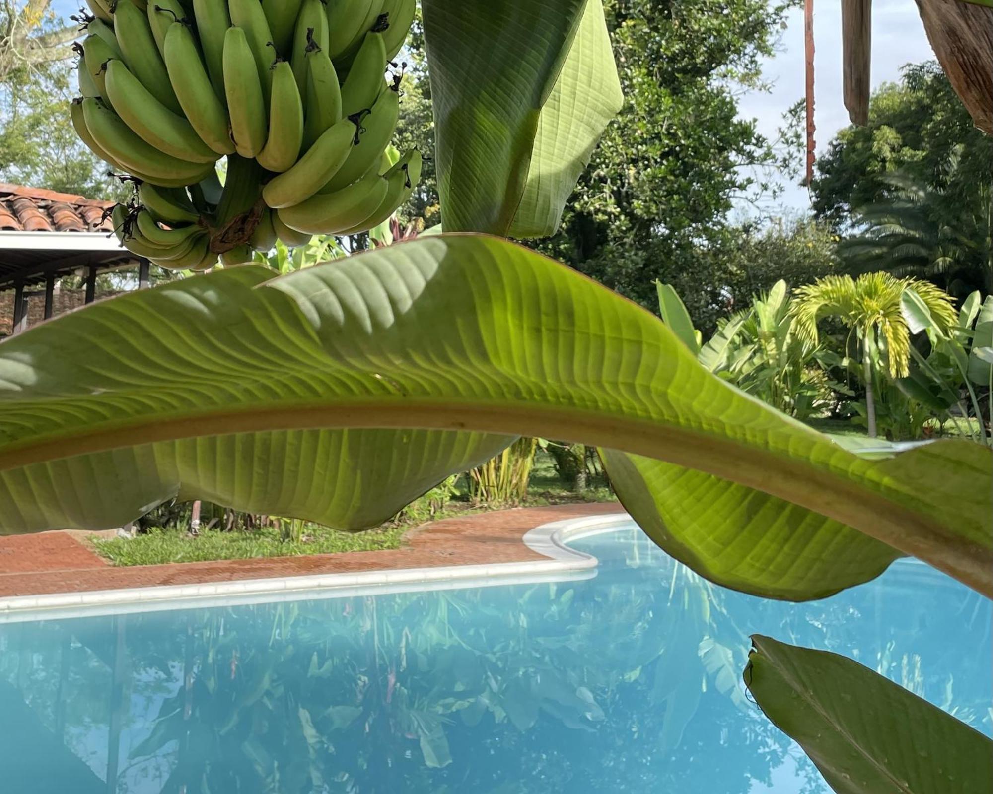 Hotel Muchosur Quimbaya Zewnętrze zdjęcie